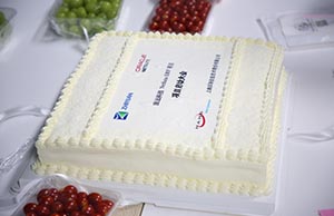 2021��NetSuite ERP��Ŀ������